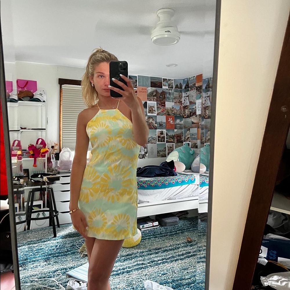 Zara dress